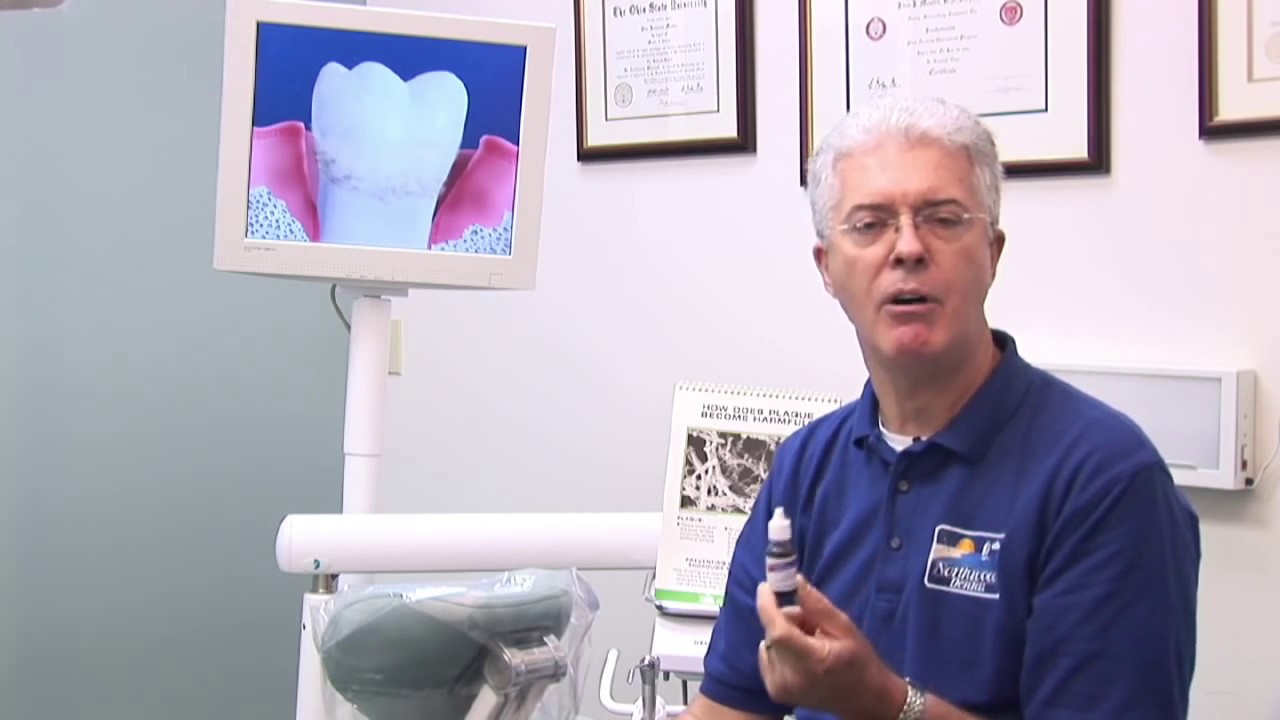 Northwood Dental of Clearwater FL Gum Disease and Removing Plaque
