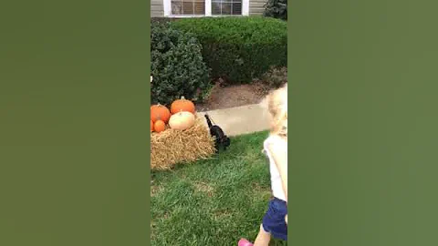 Getting The right shot