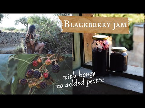 Homemade Blackberry Jam