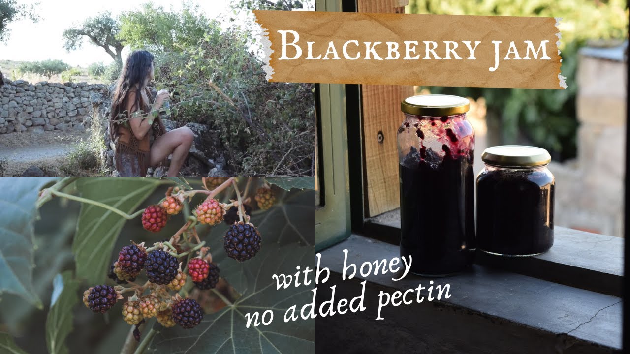 Homemade Blackberry Jam (with honey | no pectin)
