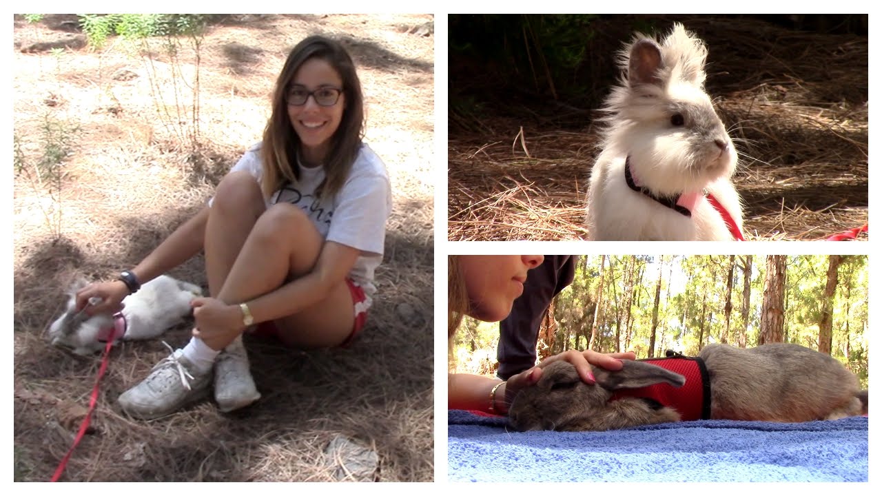 VLOG #19: Quedada conejil en el monte