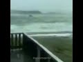 Man SURFS Through Giant Waves During Hurricane IRMA Meme