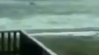 Man Surfs Through Giant Waves During Hurricane Irma Meme