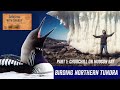 Churchill Birding &amp; Photography 2022 PART 1 Hudson Bay June 2022