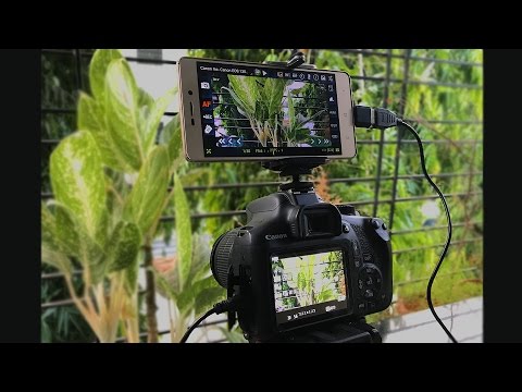 DIY - Use your Smartphone as a DSLR Monitor