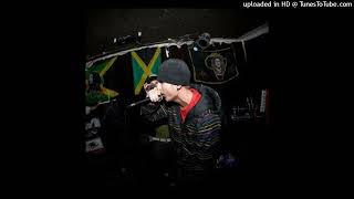 Jasna Palka - Motanica 2008