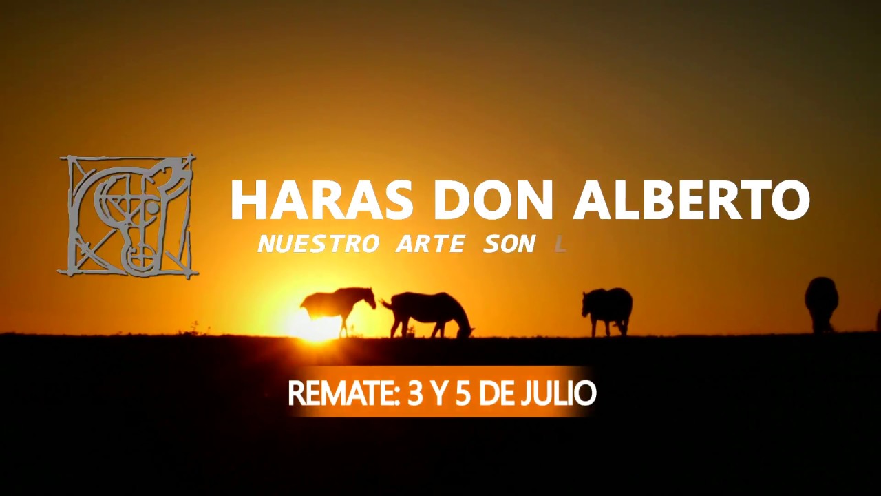 REMATE HARAS DON ALBERTO PRÓXIMO 3 Y 5 JULIO camera iphone 8 plus apk