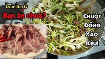 Giãn cách xã hội,ở nhà nấu ăn,chuột đồng xào kiệu cùng Trần Tâm TV