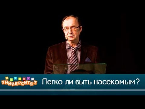 Легко ли быть насекомым? Детский университет от 09.10.2016