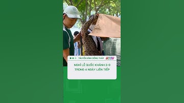 Nghỉ lễ Quốc khánh 2-9 trong 4 ngày liên tiếp #shorts