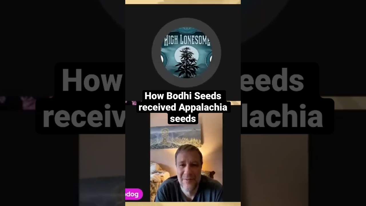 Bodhi Seeds & the Appalachia | Weed Strain History