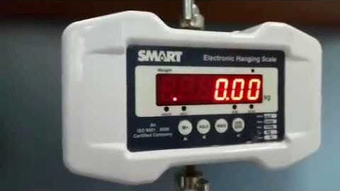 Bluetooth Hanging Scale