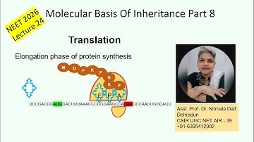 Class 12 Chapter Molecular basis of Inheritance #molecularbasisofinheritance #neet2026 #neet