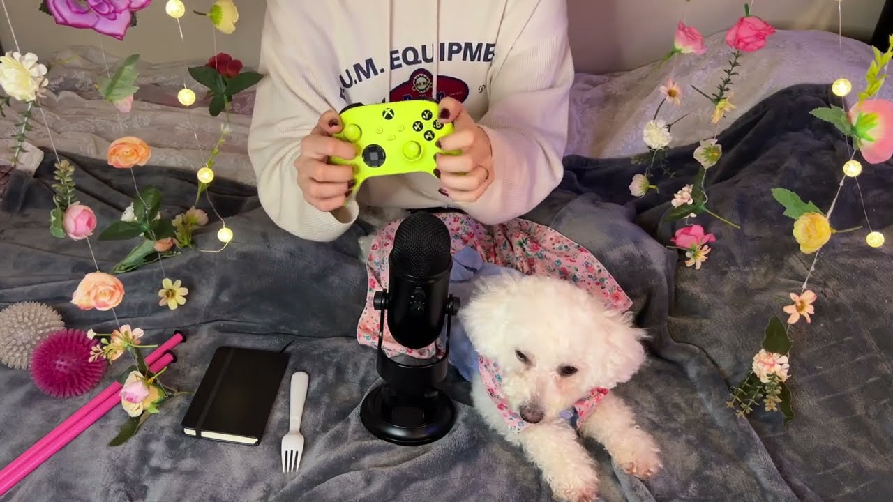 ASMR Relaxing sounds with Belle & Oliver | Tapping | Clicking sounds | Tingles for sleep or Studying