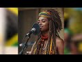 71 roots reggae conscious🌿 | Freedom Rise Again | Female Vocal Conscious Reggae Album