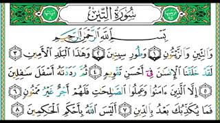 سورة التين بصوت الشيخ أيمن رشدي سويد