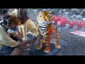 Tiger Sculpture Made of Cement (Timelapse)