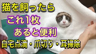 【嫌がる猫の対処法】自宅点滴や耳掃除、爪切り等で暴れてしまう猫ちゃんの動物病院のコツを教えます