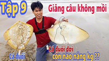 Tập 9 Giăng câu không mồi | Trúng cá đuối to # Hải 86 vlog