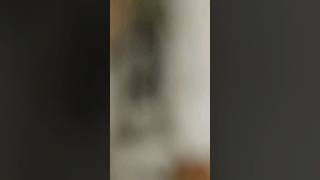 Attack On An Reference Wit Ab