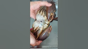 Thumbnail of Tips for Cleaning Crabs