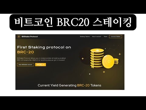   비트코인 BRC 20 스테이킹 서비스