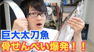 巨大タチウオをさばいて刺身と骨せんべいで食べるよ！！