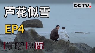 《方圆剧阵》芦花似雪 第二季 EP4 20210204 | CCTV社会与法 《方圆剧阵》芦花似雪 第二季 EP4 20210204 | CCTV社会与法