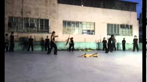 洪拳學社 (趙威洪家拳  Chiu Wai Style Hung Gar) - Nov 2013 Medley Training