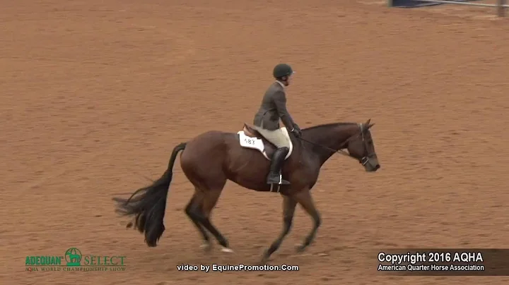 A Judges Perspective: 2016 Select Hunter Hack World Champion