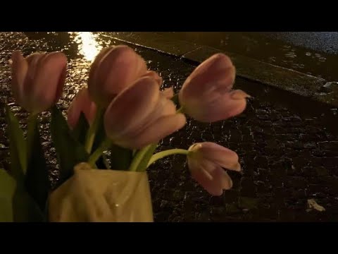 كلو بيسال شو بدك وانا دوخني الجمال بدون موسيقى كلو بيسال شو بدك وانا دوخني الجمال بدون موسيقى