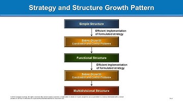 Chapter 11   Relationships between Strategy and Structure