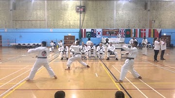 Pyung Ahn Sah Dan - Team Form