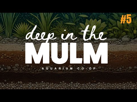 Deep in the Mulm Podcast Ep. 5