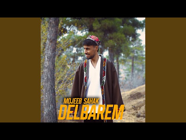 Delbarem