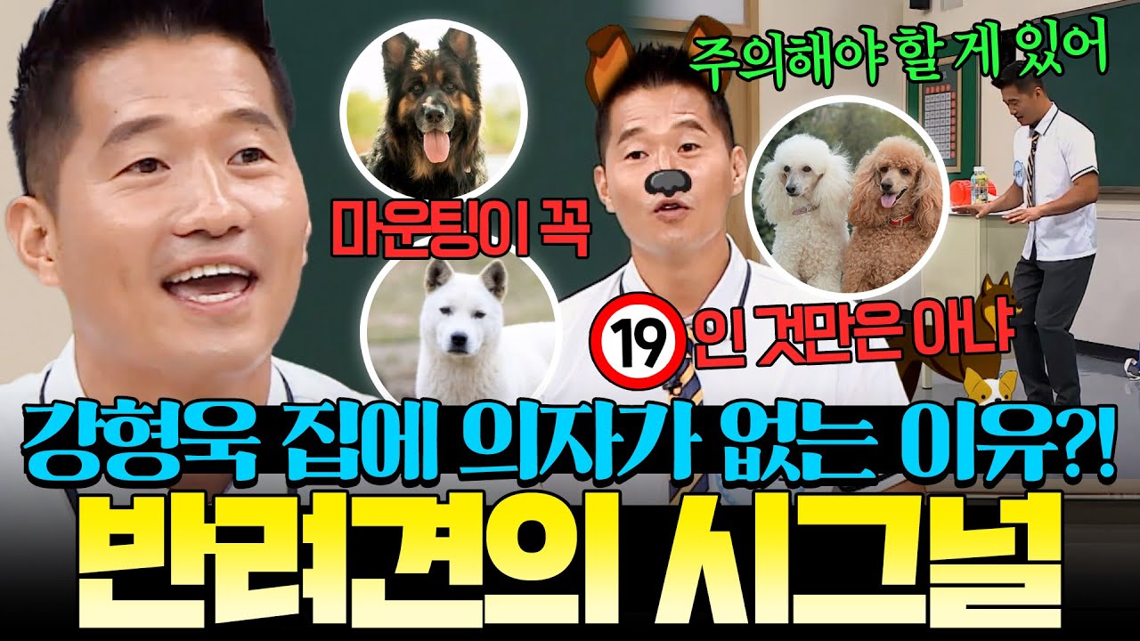 이 행동이 ＂나 좀 도와줘＂라는 뜻이었다고?!😱 강형욱이 알려주는 반려견 시그널 모음🐶｜아는 형님｜JTBC 190824 방송