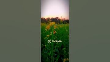 تلاوة خاشعة للقرآن الكريم 🤗😇🤗 سورة الرحمن 😇😇😇