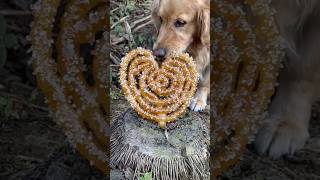 Making mosquito coils out of clay to repel mosquitoes #camping #bushcraft #survival #facts #skills