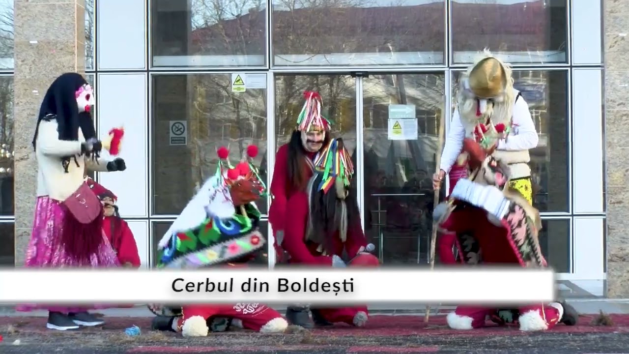 Cerbul din Boldești