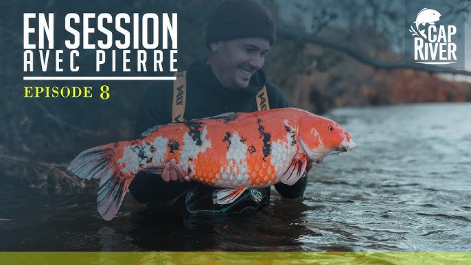 CARP LSD  Une saison sur la rivière