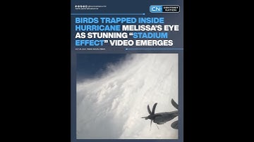 Birds Trapped Inside Hurricane Melissa’s Eye as Stunning “Stadium Effect” Video Emerges