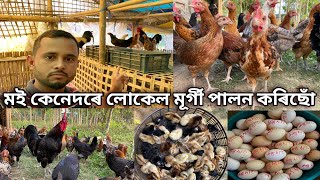 মই কেনেকৈ লোকেল মূৰ্গী পালন কৰিছোঁ চাও আহক।Local Murgi Farm / Local Murgi Palan