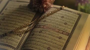 سورة القصص للشيخ سعد الغامدي. Surah Al-Qasas - Saad Al-Ghamdi
