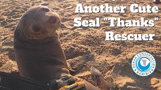 Another Cute Seal "Thanks" Rescuer
