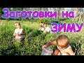 Заготовки 2017 - важные покупки, сушим, морозим, собираем. (07.17г.) Семья Бровченко.