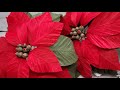 Crepe Paper Poinsettia - Christmas Decor