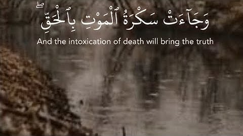 قران كريم بصوت الشيخ ياسر الدوسري#قران_كريم #ياسر_الدوسري #قران_كريم_ارح_سمعك_وقلبك #عبدوسعد_عشري