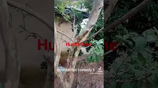 hustle go pay one day.#comedy #tundeednut #everyone