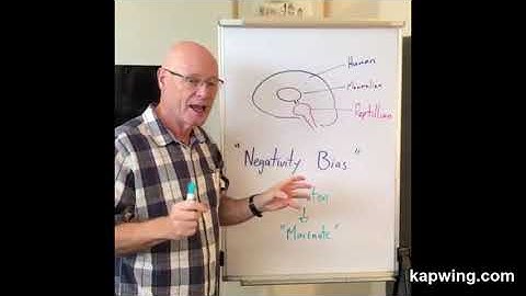 The Negativity Bias: Part 1