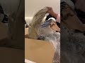 Mango Clothes Haul 2025 Sale2025 Clothinghaul Womenswear Woolcoat Mango Clothes Haul 2025 Sale2025 Clothinghaul Womenswear Woolcoat